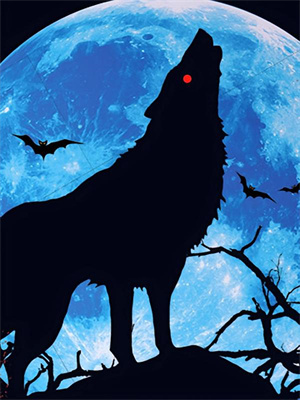 大明：皇孫開局，這皇位我坐定了大結局