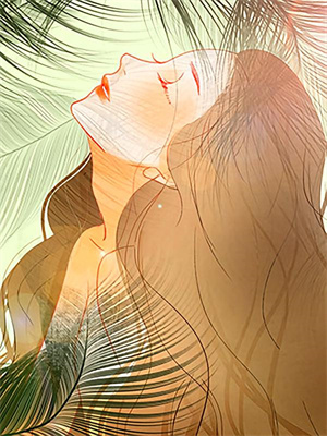 何雨柱秦淮茹最新章節